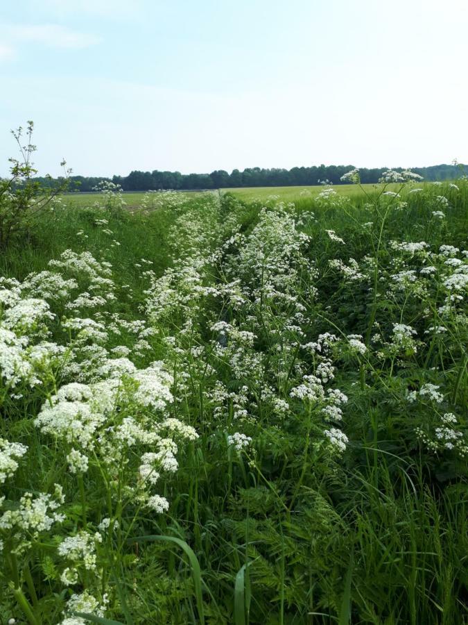 Gezond Boeren Verstand Dalerveen Eksteriør billede